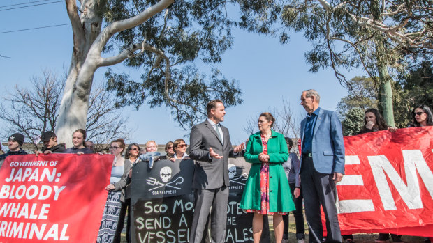 Greens senators Sarah Hanson-Young and Peter Whish-Wilson joined former leader Bob Brown outside the Japanese embassy on Tuesday.