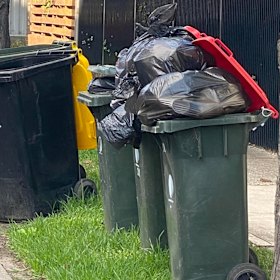 Overflowing garbage bins at Coburg on 5 March 2025