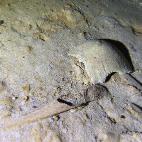 Fragments of a pre-historic human skeleton in an underwater cave in Tulum, Mexico.