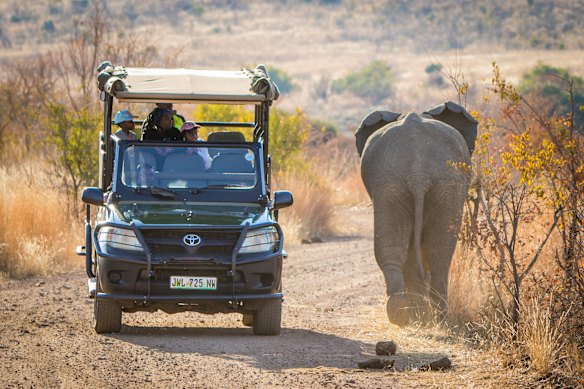 Game drive in South Africa with Collette.