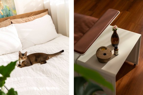 Compact living doesn’t mean forgoing pets.