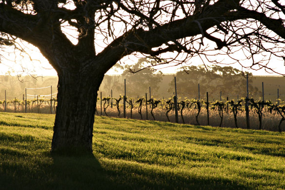 Jim Barry Wines in the Clare Valley, SA.