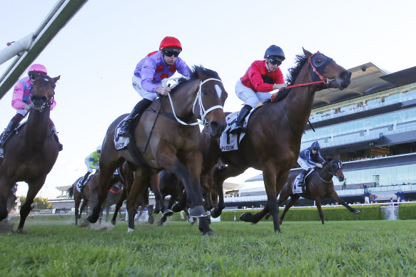 Glyn Schofield and Taksu (right) hang to win the Civic Stakes.