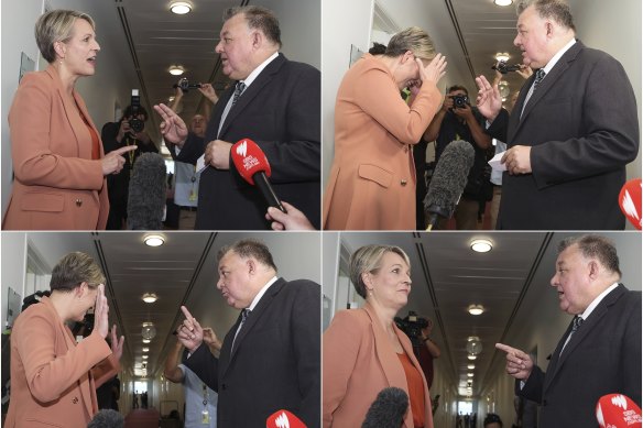 Labor MP Tanya Plibersek and Liberal MP Craig Kelly clash as they cross paths in Parliament House’s press gallery.