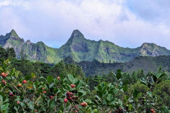 A mountain range on Rapa Iti.