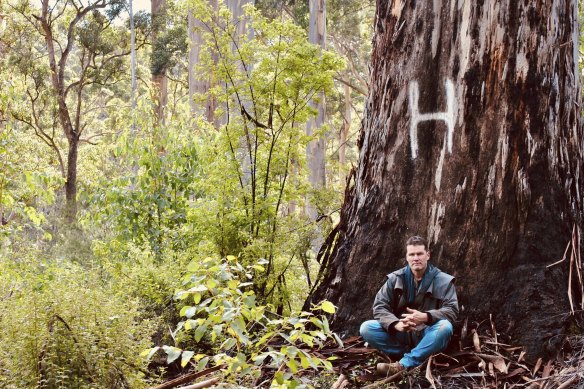Jeff Pow in an area of Lewin Forest after a successful 2018 action to have it taken off logging plans along with the other remaining two-tiered karri forests in the South West.