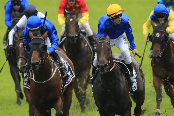 Kiamichi, sporting the golden cap, revelled in the heavy conditions to win the Golden Slipper last year.