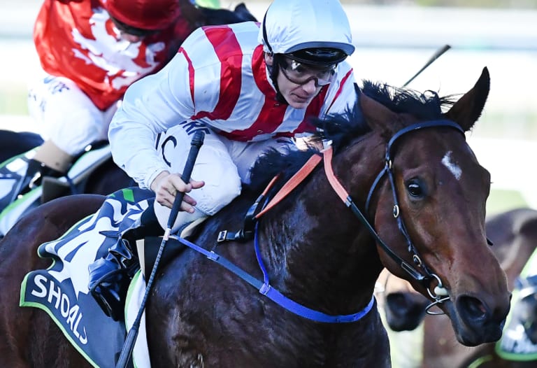 Soft-track specialist: Shoals and Tim Clark take out the Robert Sangster Stakes earlier in the year.