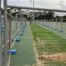 The existing courts being used by the Eastwood Ryde Netball Association.