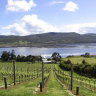 The sloping hills of Derwent Estate Wines.