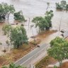 Kimberley floods livestock losses in ‘tens of thousands’