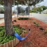 Well-maintained play equipment can coexist and enhance urban environments say residents.