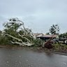 Another tree down in Karratha.
