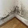 Hidden black mould revealed after renters pulled a couch from the wall, submitted to the Facebook page Don’t Rent Me.