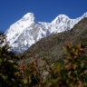 Five bodies spotted in Himalayas during search for eight missing climbers