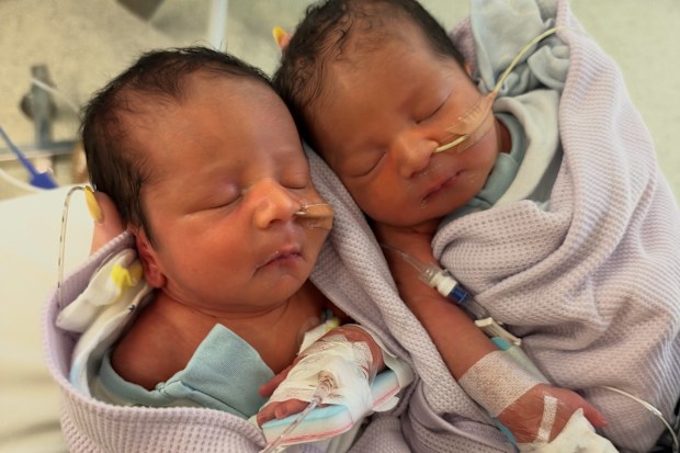 Veruca Salt has welcomed twins.