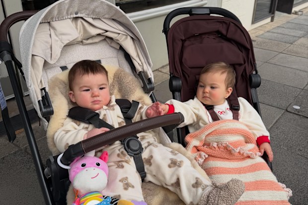 Domenica Calarco and Ella Ding's babies Pia and Dove