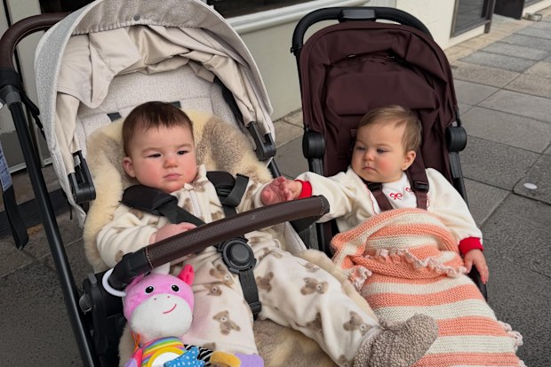 Domenica Calarco and Ella Ding's babies Pia and Dove