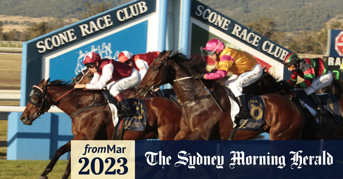 Scone races Monday tips and full preview for Country Championships ...