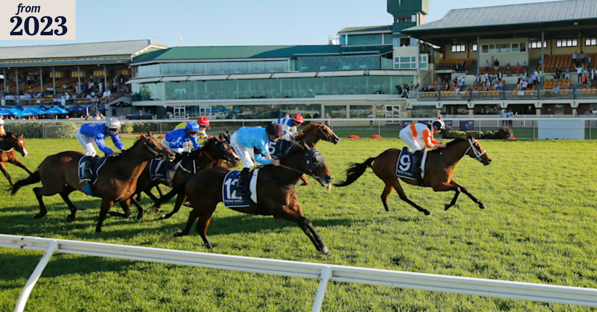 Newcastle races Wednesday: La Pittrice chases second straight win for ...