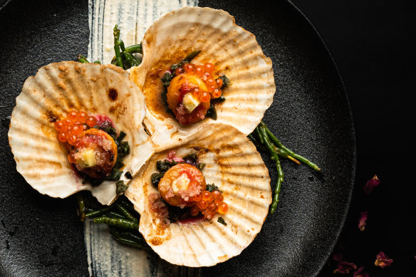 Scallops with finger lime, green ant butter and warrigal greens.