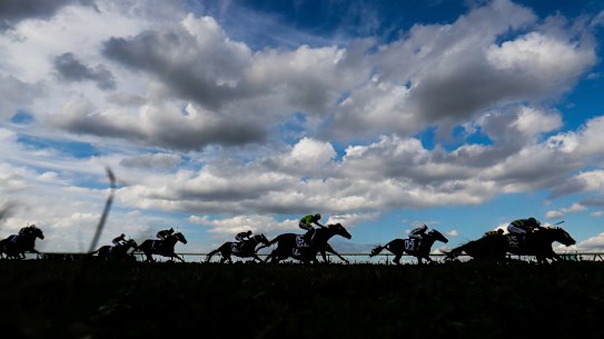 Coffs six-year-old mare Rival Mo took on much better fields earlier in the prep, and a win is overdue.