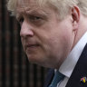 ‘Poodle on roubles’: Johnson turns blind eye to oligarchs
