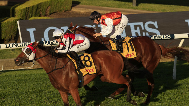 Race-by-race preview and tips for Goulburn on Sunday