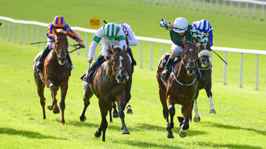 Law of Indices (left) scores at the Curragh last year.