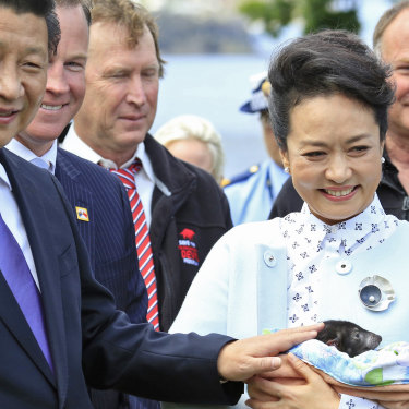 The 2014 visit to Hobart by Chinese President Xi Jinping and Madame PengLiyuan (pictured with a Tasmanian devil) spurred a flood of Chinese tourists.