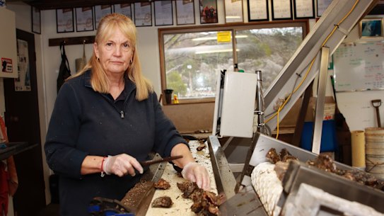 ''We were finally getting back on top'': Caroline Henry at Wonboyn Rock Oysters near the Victorian border.