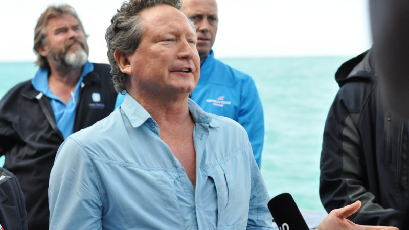 Twiggy Forrest joins fight to save our oceans with $100 million pledge ...
