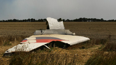 A portion of the MH17 wing lies in the field outside the village of Grabovka in 2014.