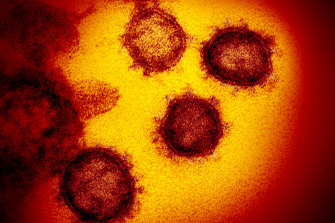 Het coronavirus verandert genetisch in nieuwe vormen als gevolg van mutaties.