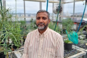 Dr Raghu Sathyamurthy is the Principal Research Scientist for the CSIRO’s Health and Biosecurity team