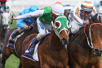 Sydney Trip Inevitable While Heirborn Chases Guineas Berth