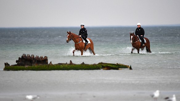 Finche and Kings Will Dream lead Waller's Melbourne Cup assault after running the quinella in Saturday's Turnbull Stakes