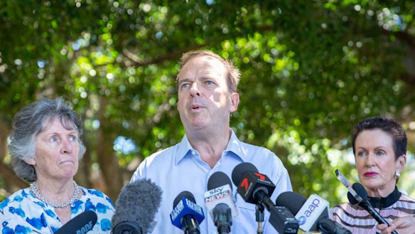 Randwick mayor Kathy Neilson, Waverley mayor John Wakefield and City of Sydney lord mayor Clover Moore criticised the stadium demolition. 
