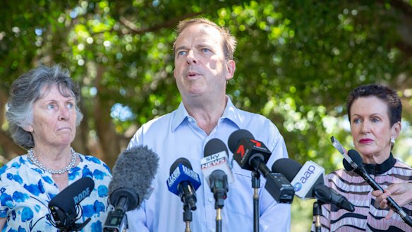 Randwick mayor Kathy Neilson, Waverley mayor John Wakefield and City of Sydney lord mayor Clover Moore criticised the government's community consultative committee for the stadium demolition. 