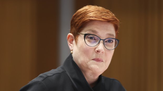 Offered to help: Foreign Minister Marise Payne.