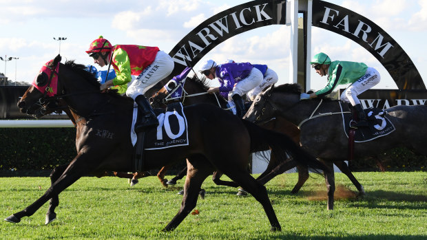 Dolly's Due races to victory in May at Warwick Farm.