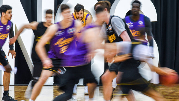 Friendly rivalry: Star recruit Andrew Bogut wants the Kings training sessions to get a bit spiteful.