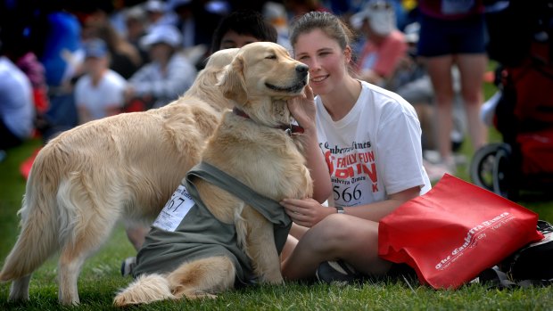 All dogs must be registered to participate in the special 5km Paw Parade added to The Canberra Times Fun Run.