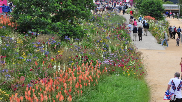 Horticulturalist James Hitchmough's landscape design at the London 2012 Olympic Park.