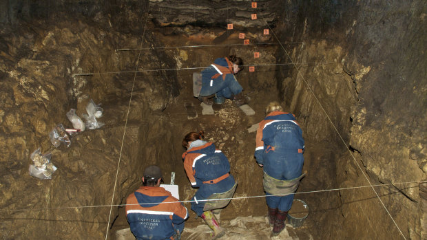 Researchers excavate a cave for Denisovan fossils in the Altai Krai cave.