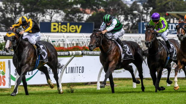 Class act: Trapeze Artist wins the 2018 Expressway Stakes. The galloper  defends his title in the race on Saturday at Rosehill.