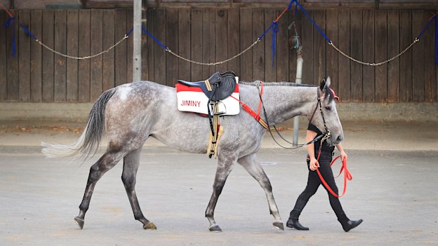 Classique Legend earlier this month.