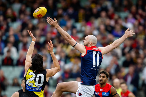 Ivan Soldo and Max Gawn compete for the ball.