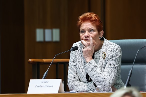 Pauline Hanson, pictured during Senate estimates on Wednesday, has declared she is ready to be prime minister.