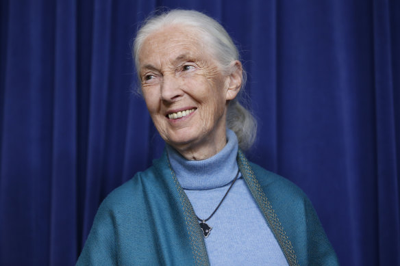 Fangirl moment: Dame Jane Goodall has endorsed the work of Emma Lewisham.